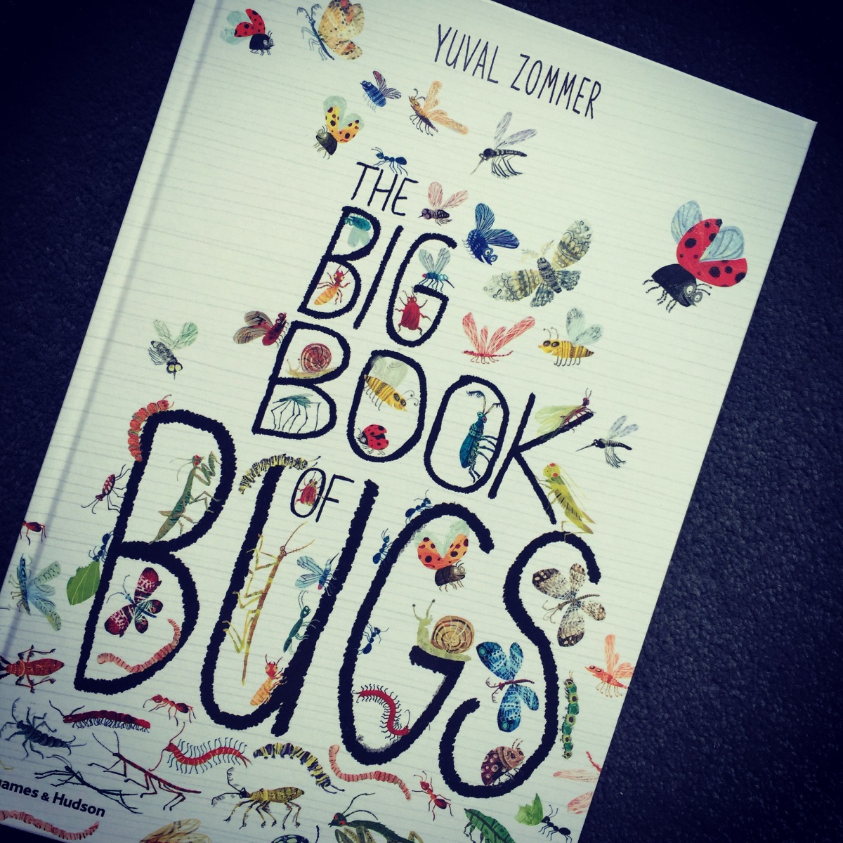 The Big Book Of Bugs By Yuval Zommer Thames Amp Hudson